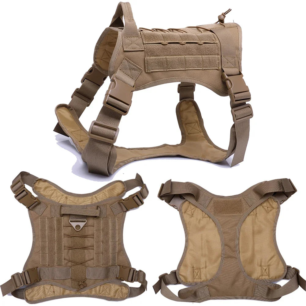 PatrolPro Harness & Leash