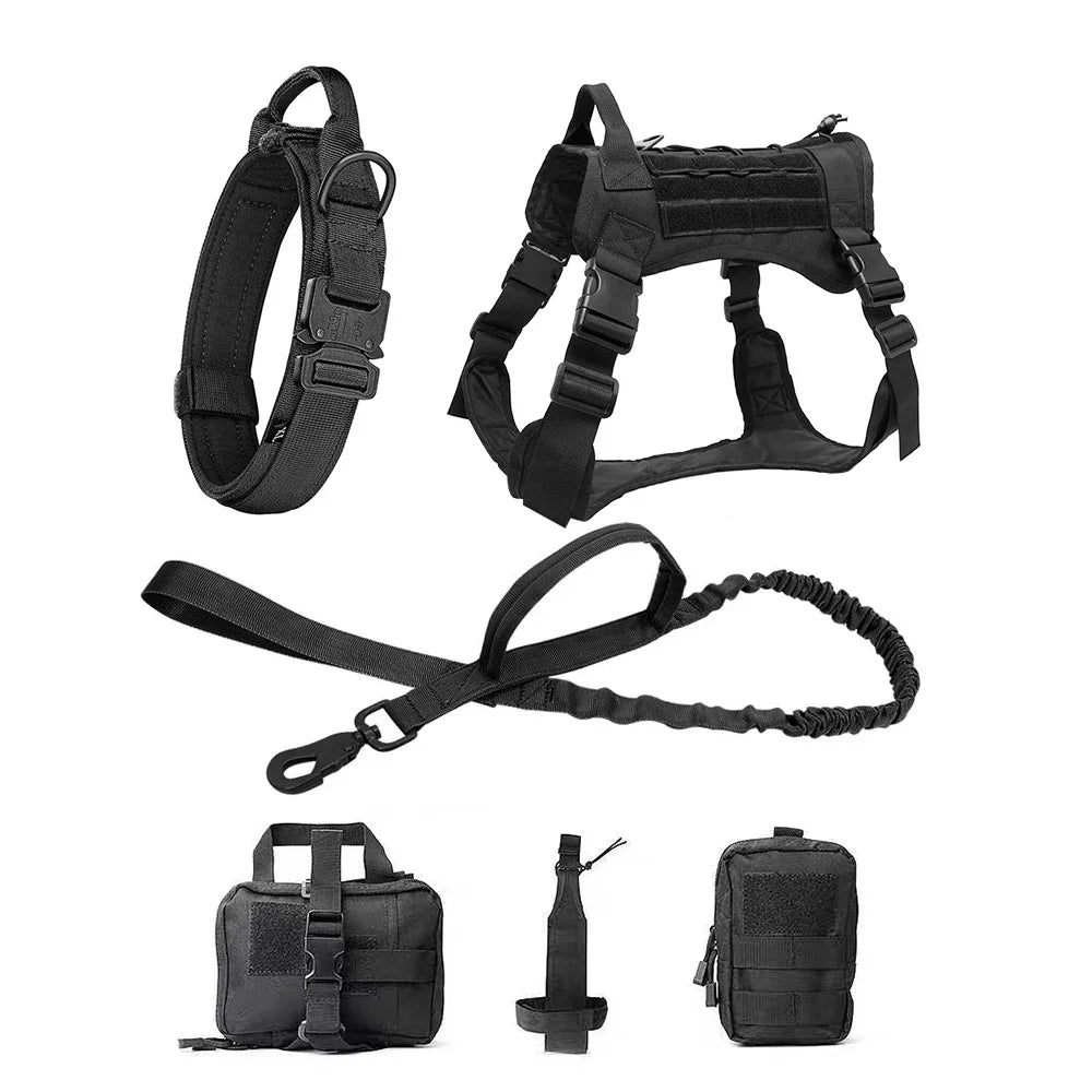 PatrolPro Harness & Leash