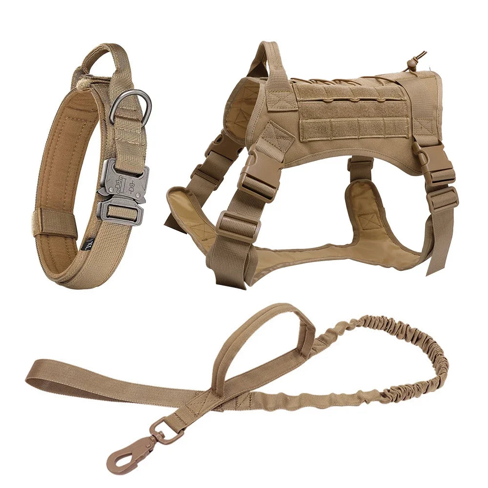 PatrolPro Harness & Leash