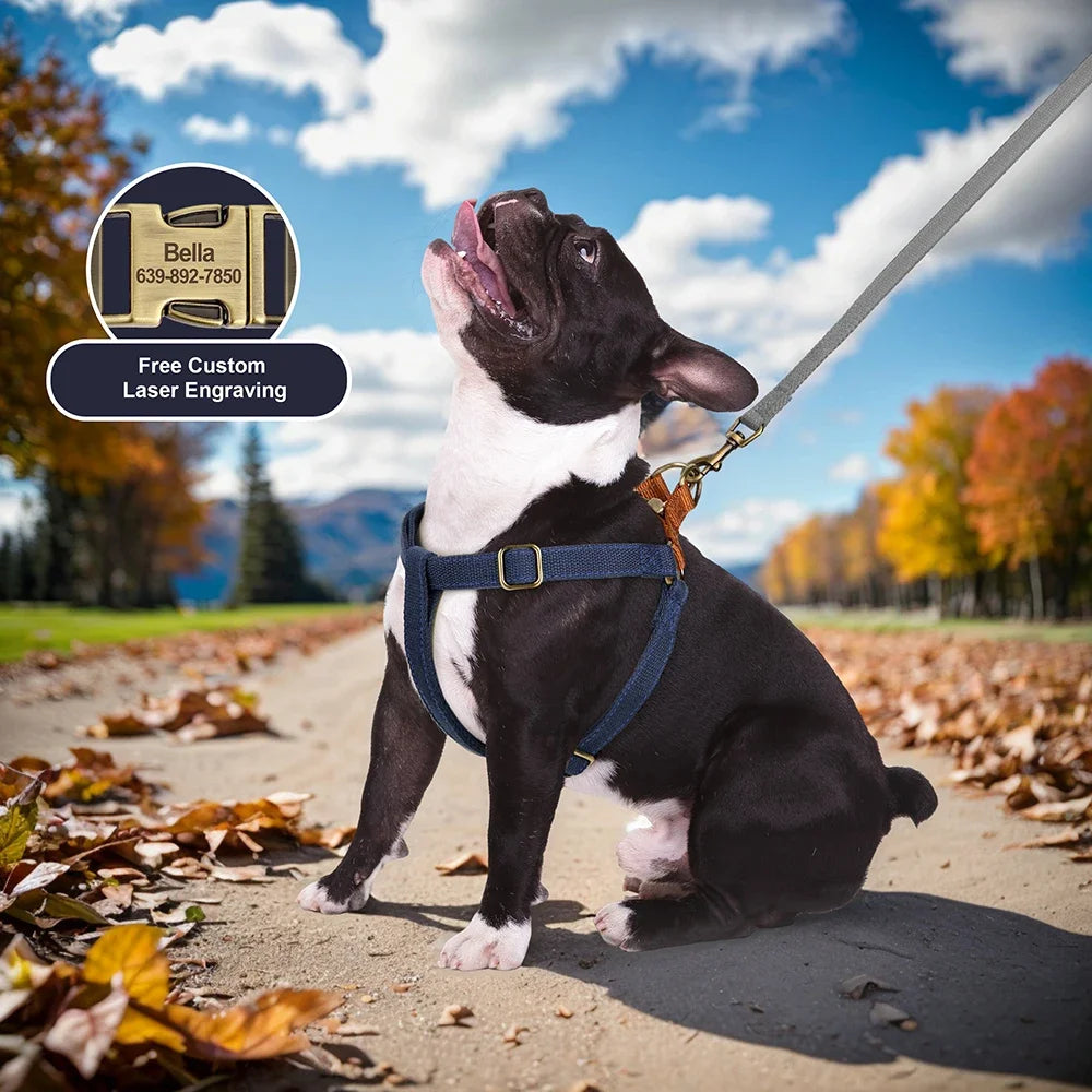 Everyday Comfort Dog Harness – Style Meets Safety