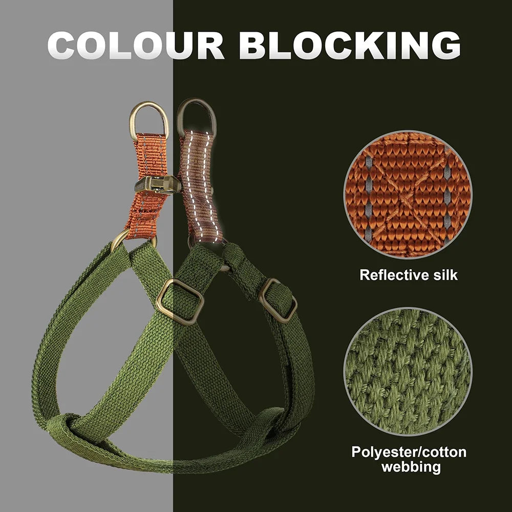 Everyday Comfort Dog Harness – Style Meets Safety