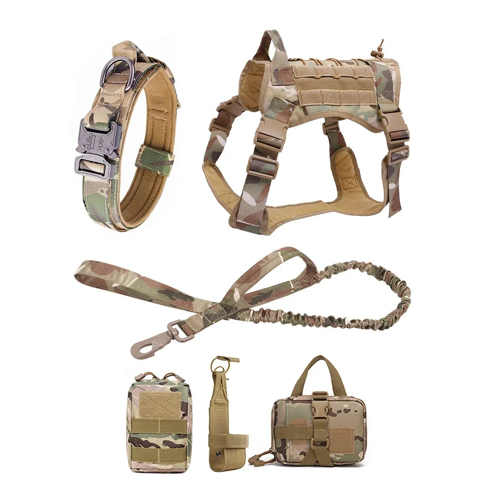 PatrolPro Harness & Leash