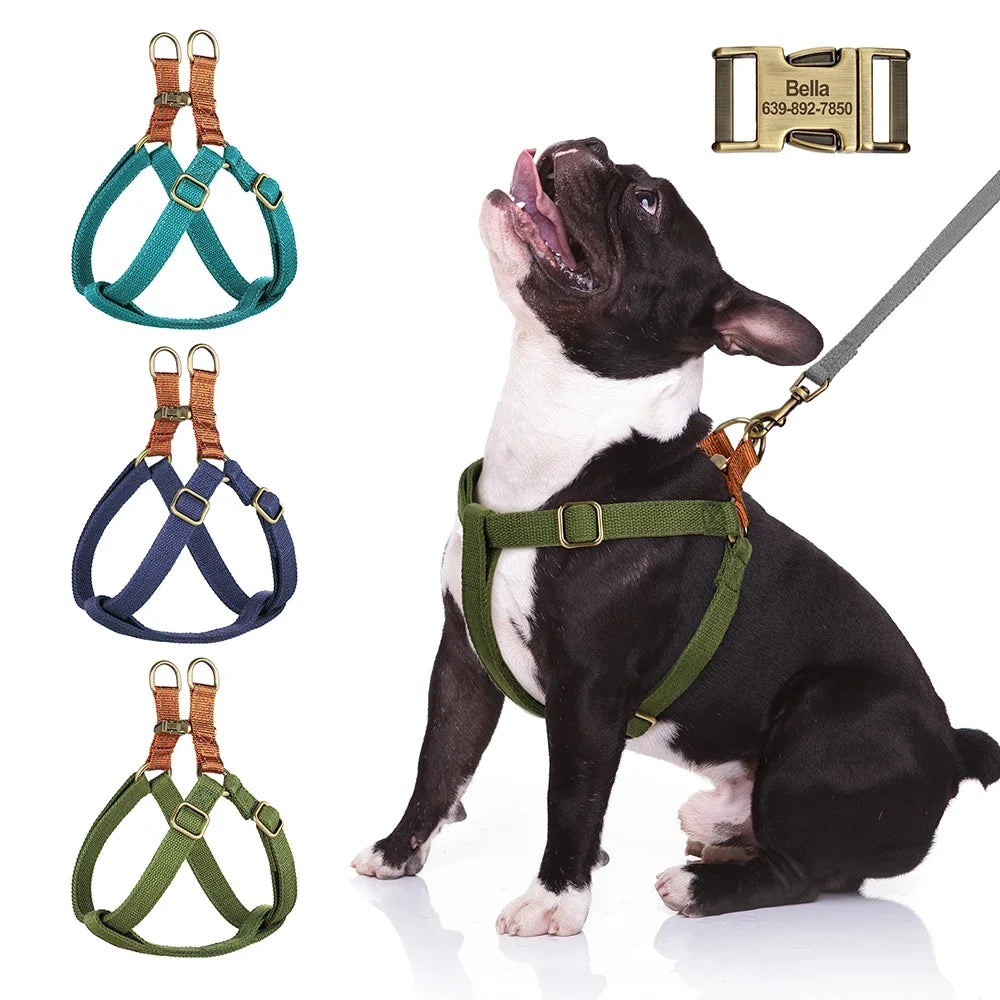 Everyday Comfort Dog Harness – Style Meets Safety