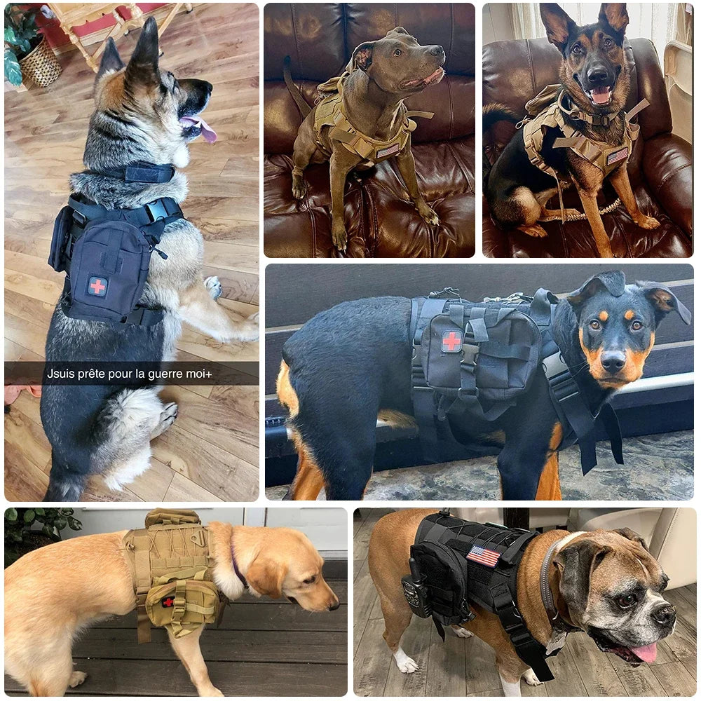 PatrolPro Harness & Leash