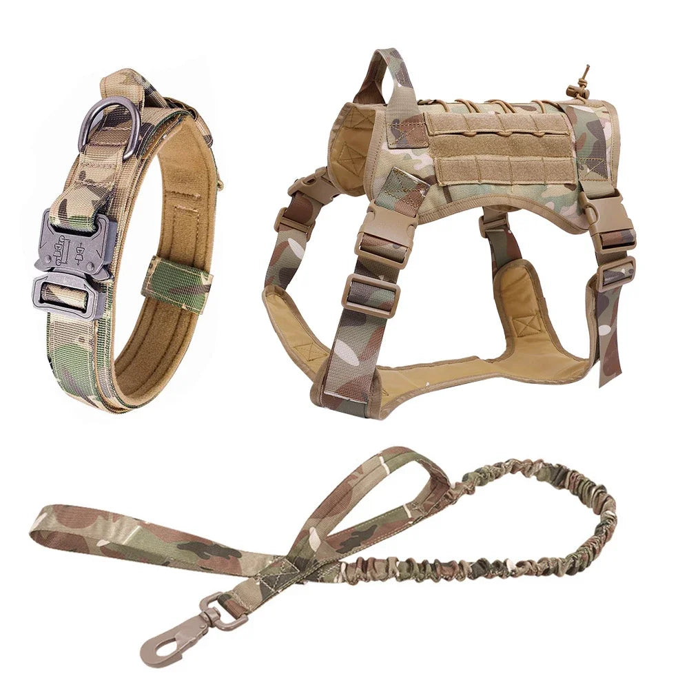 PatrolPro Harness & Leash