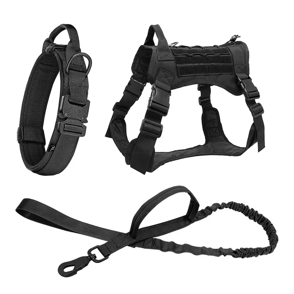 PatrolPro Harness & Leash