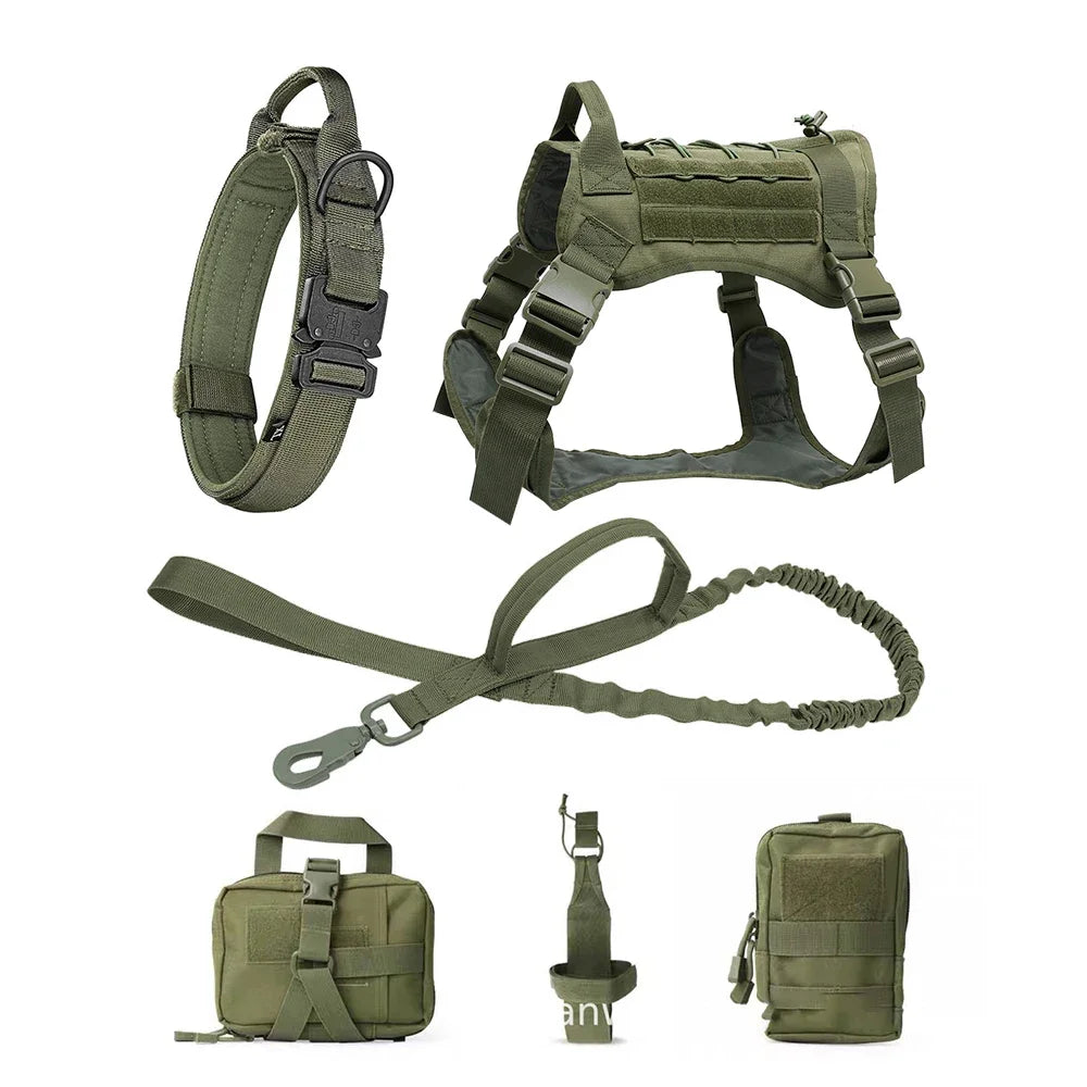 PatrolPro Harness & Leash