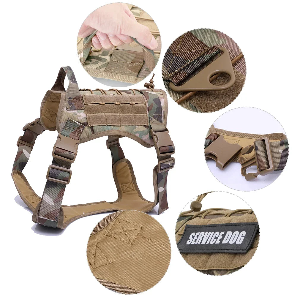 PatrolPro Harness & Leash
