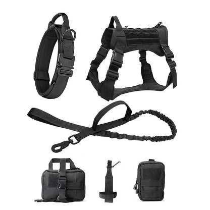 PatrolPro Harness & Leash