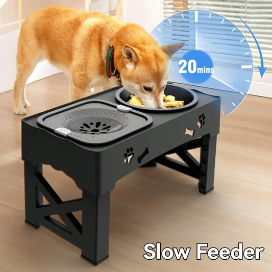 Elevated Slow Feeder Bowl – Comfort & Control
