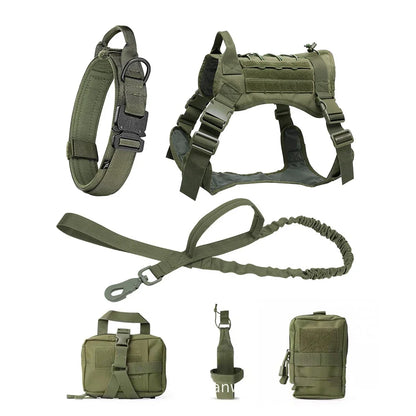 PatrolPro Harness & Leash