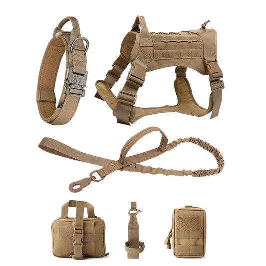 PatrolPro Harness & Leash