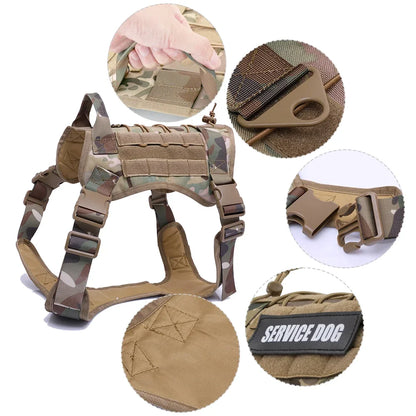 PatrolPro Harness & Leash
